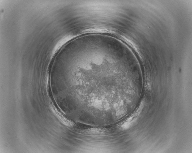 X0000088061179200705111325