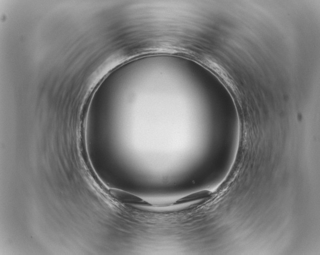 X0000088061187200705111325