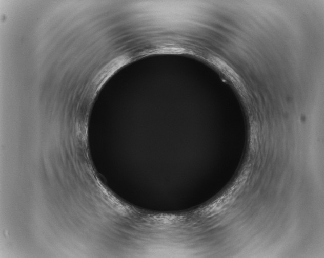X0000088061193200705111325
