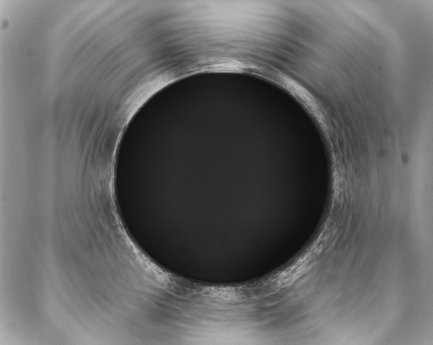 X0000088061194200705111325