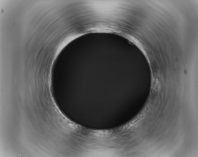 X0000088061195200705111325