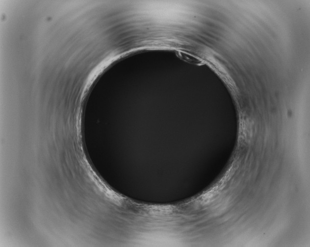 X0000088061196200705111325