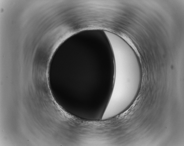 X0000088061197200705111325