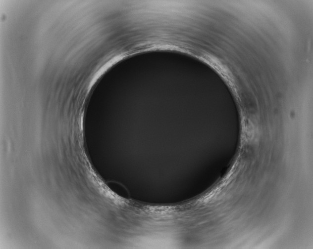 X0000088061198200705111325