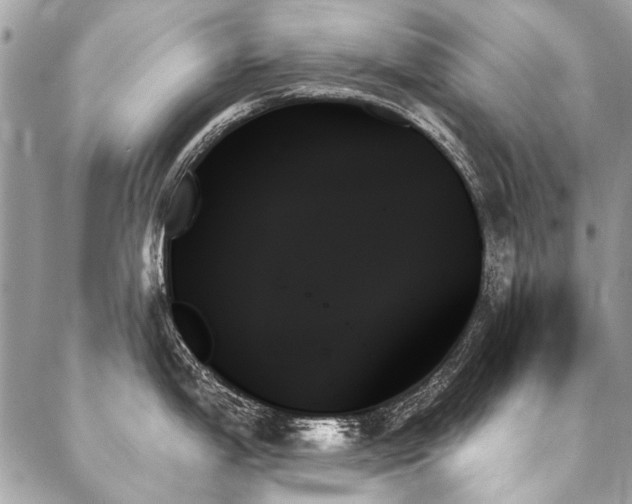 X0000088061199200705111325