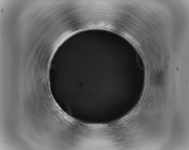 X0000088061200200705111325