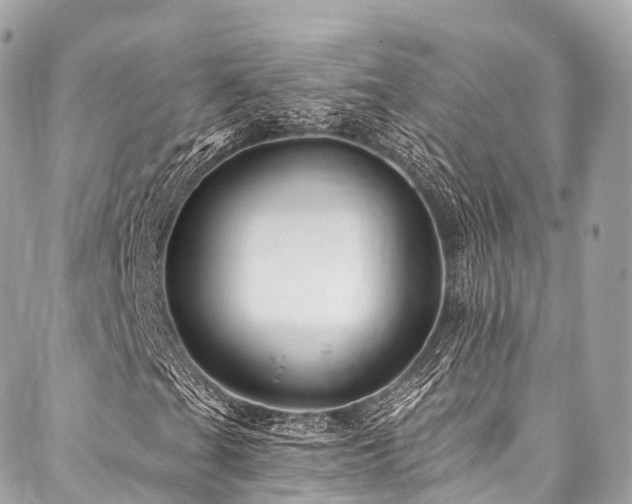X0000088061201200705111324