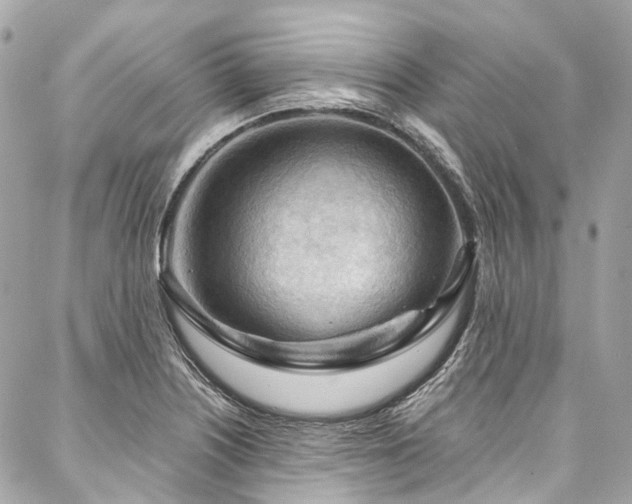 X0000088061226200705111325