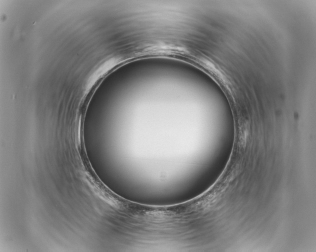 X0000088061227200705111325