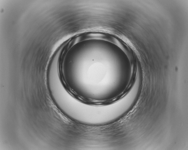 X0000088061230200705111325