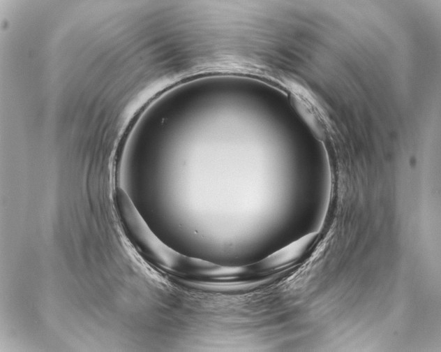X0000088061238200705111325