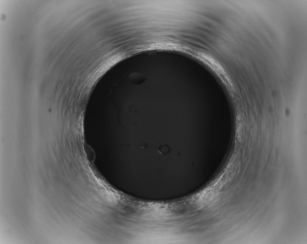 X0000088061241200705111325