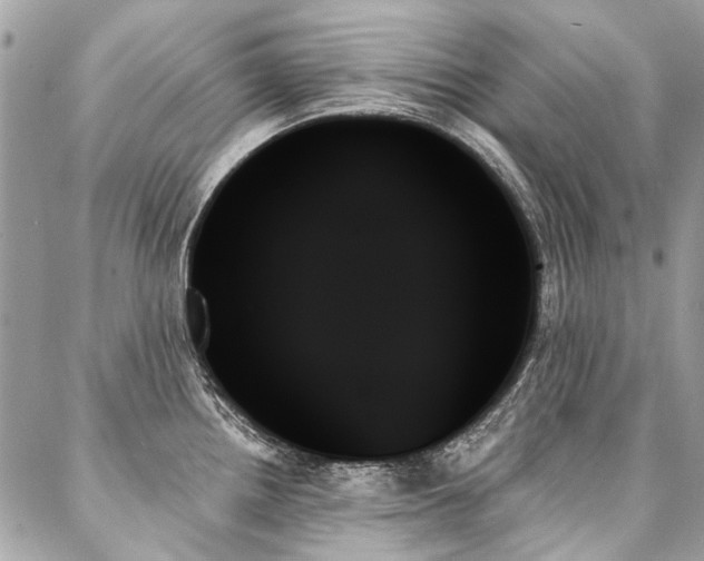 X0000088061242200705111325