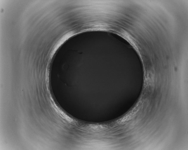 X0000088061243200705111325
