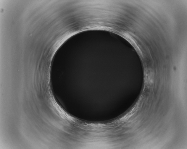 X0000088061244200705111325