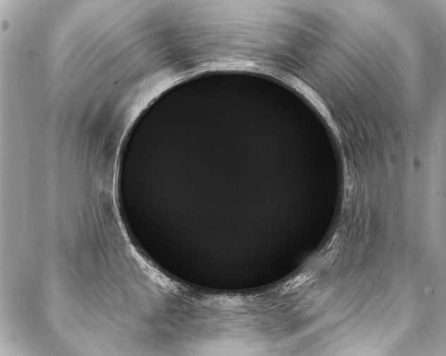 X0000088061245200705111325