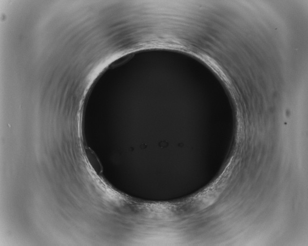X0000088061246200705111325