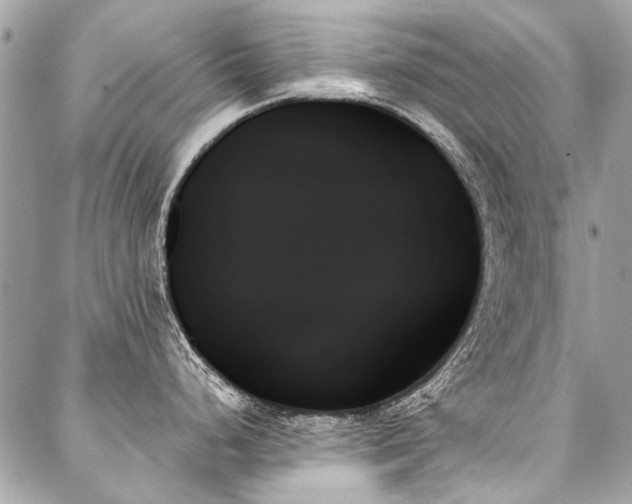 X0000088061248200705111325