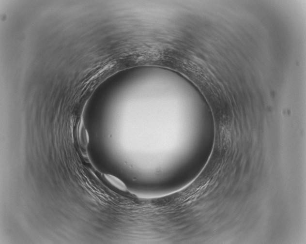 X0000088061250200705111324