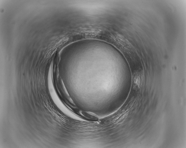 X0000088061252200705111324