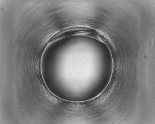 X0000088061273200705111324