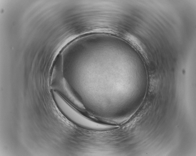 X0000088061284200705111324