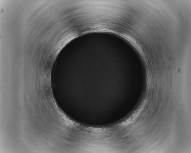 X0000088061289200705111324