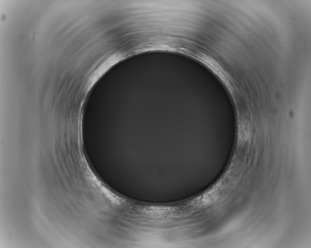 X0000088061290200705111324