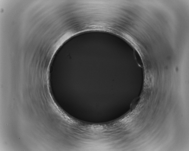 X0000088061291200705111324