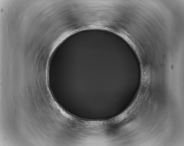 X0000088061294200705111323