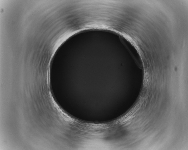 X0000088061295200705111323