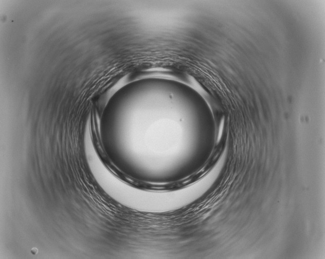X0000088061298200705111323
