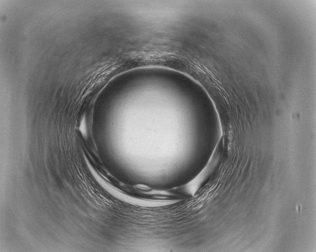X0000088061300200705111323