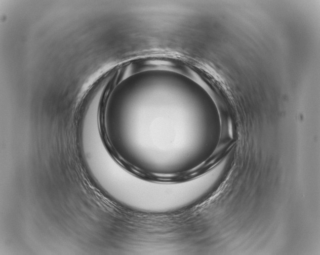 X0000088061310200705111323
