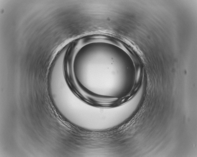 X0000088061316200705111323