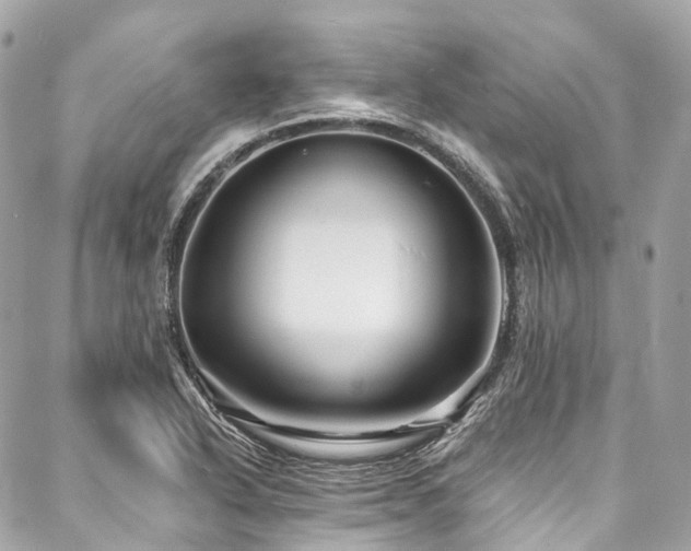 X0000088061318200705111323