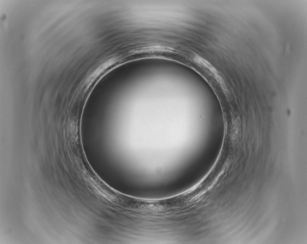 X0000088061321200705111323