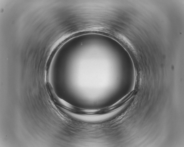 X0000088061324200705111323