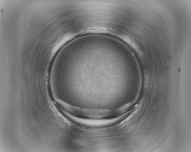 X0000088061325200705111323