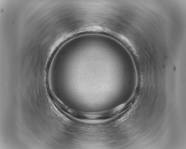 X0000088061326200705111323