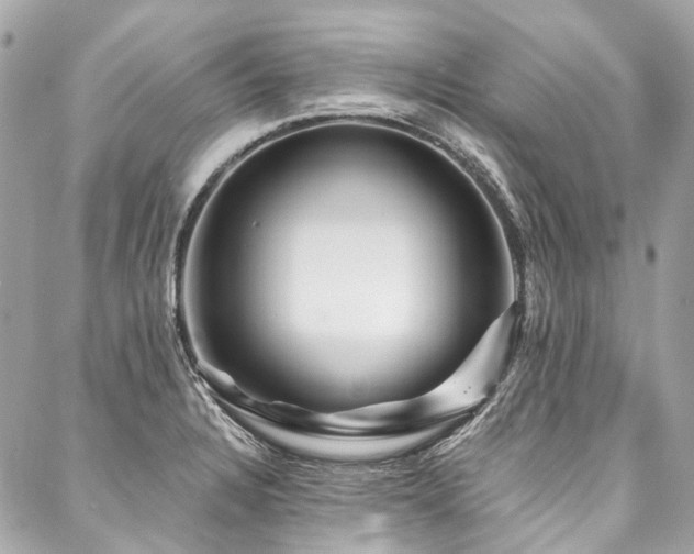 X0000088061328200705111323