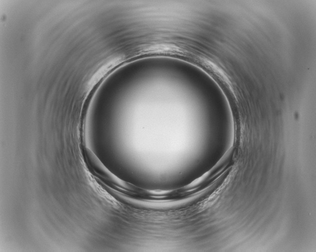 X0000088061330200705111323