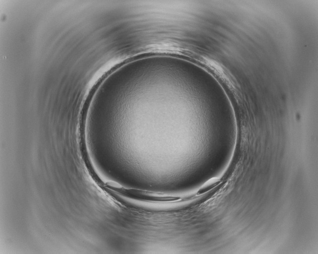 X0000088061331200705111323