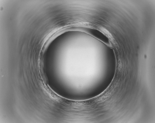 X0000088061332200705111323