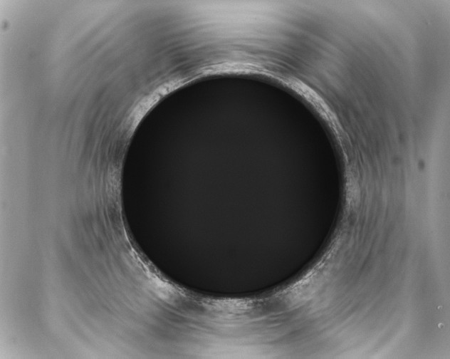 X0000088061337200705111323