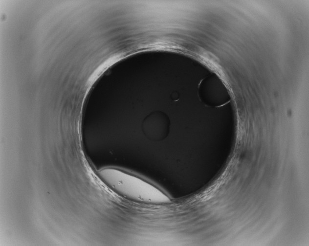 X0000088061338200705111323
