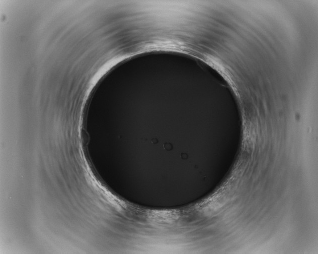 X0000088061339200705111323