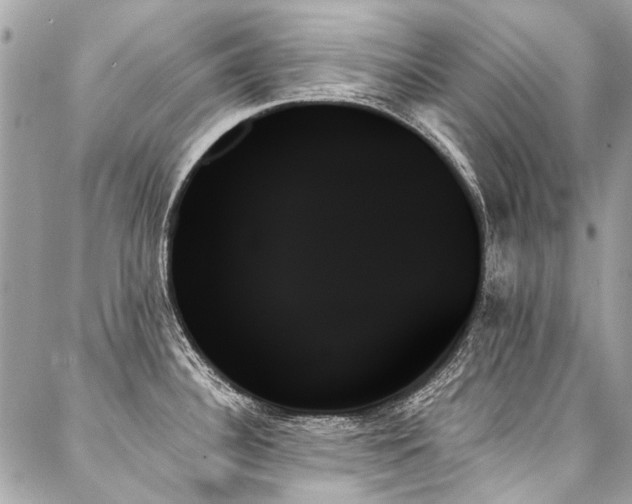 X0000088061340200705111323