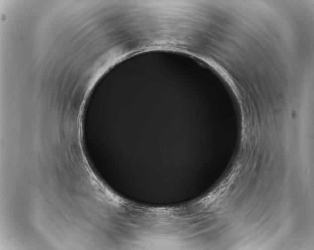 X0000088061341200705111323