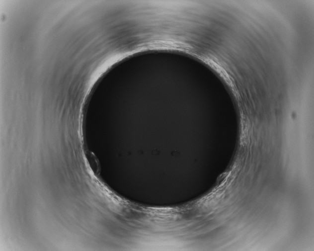 X0000088061342200705111323
